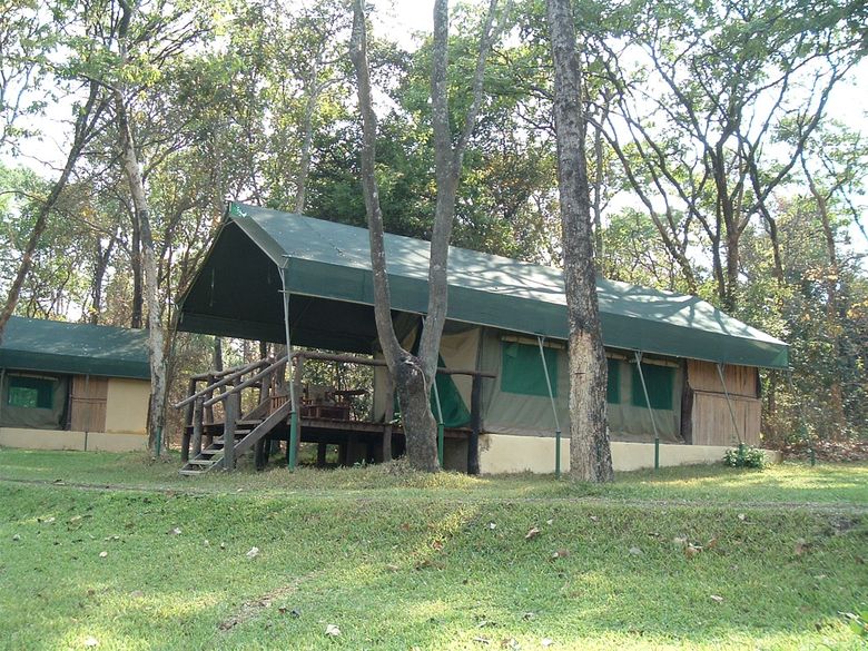 safari tent